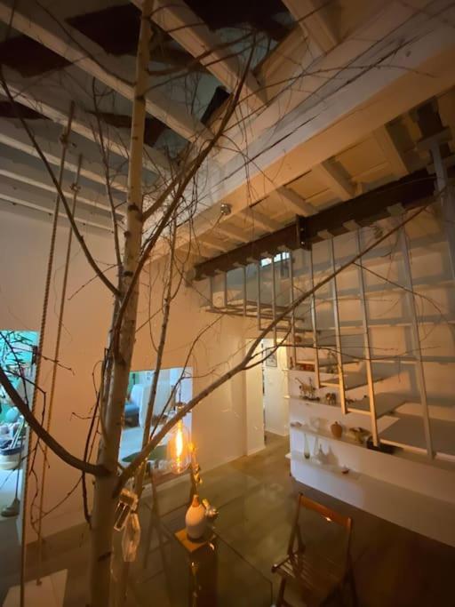 Appartamento Casa Degli Alberi Torino Esterno foto