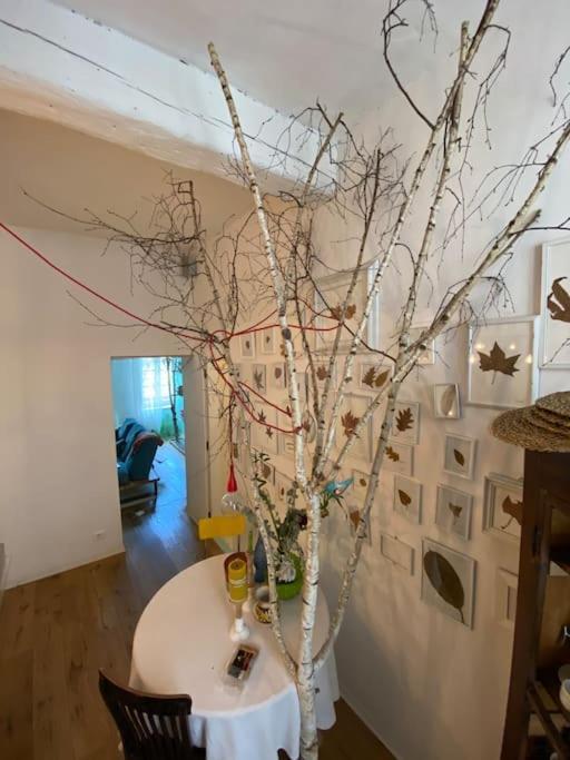Appartamento Casa Degli Alberi Torino Esterno foto