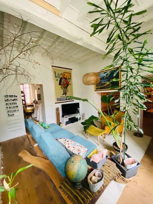 Appartamento Casa Degli Alberi Torino Esterno foto