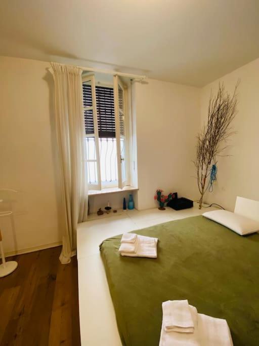 Appartamento Casa Degli Alberi Torino Esterno foto