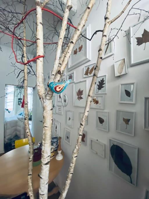 Appartamento Casa Degli Alberi Torino Esterno foto
