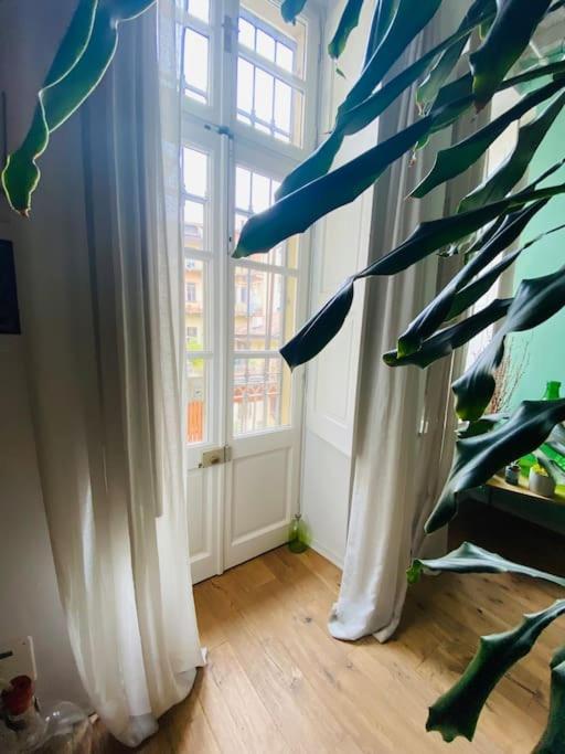 Appartamento Casa Degli Alberi Torino Esterno foto