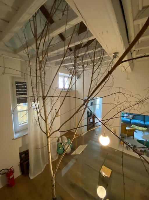 Appartamento Casa Degli Alberi Torino Esterno foto
