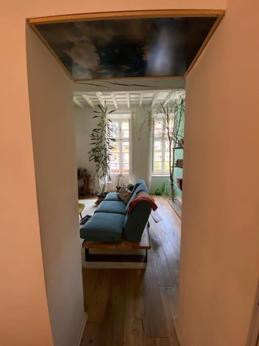 Appartamento Casa Degli Alberi Torino Esterno foto
