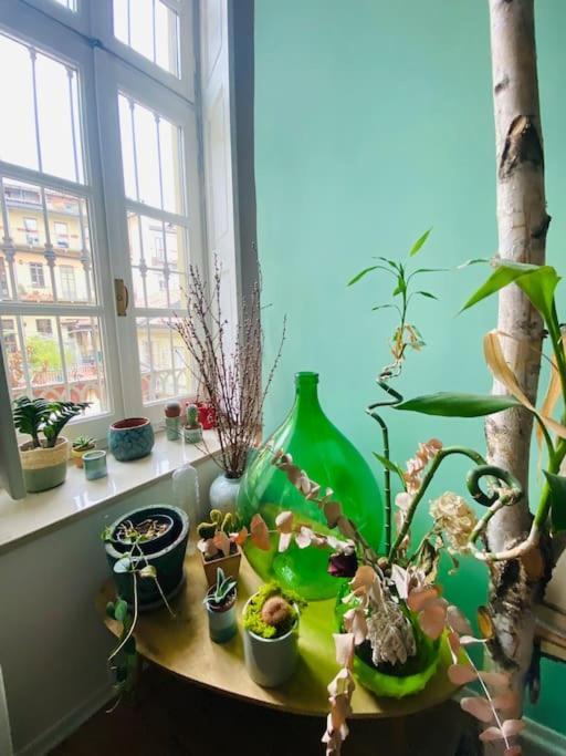 Appartamento Casa Degli Alberi Torino Esterno foto